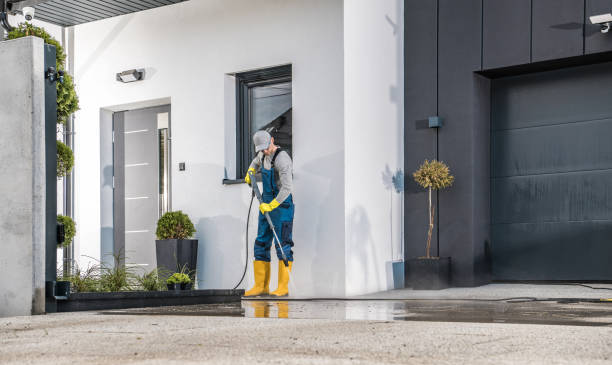 Best Roof Washing  in Bronx, NY